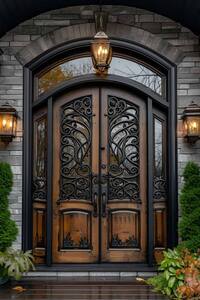 premium door (1)